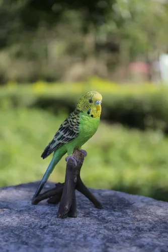 Miniatura 3 de Hi-Line Gift Ltd Budgie en la rama estatua, verde