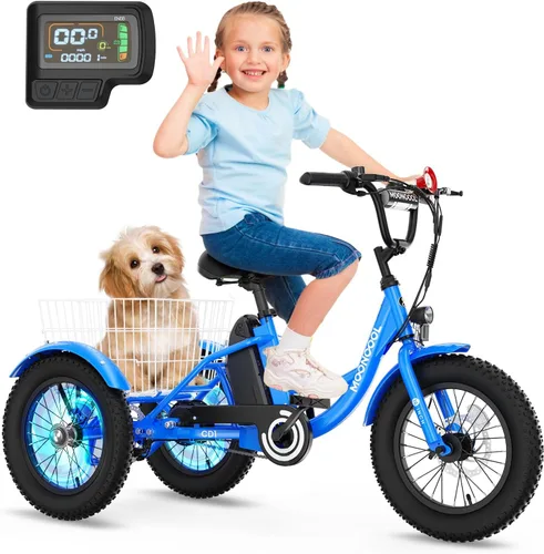 NAIZEA Bicicleta eléctrica para niños, triciclo de 16 pulgadas para niños y niñas de 6 a 12 años, bicicleta eléctrica para niños de 250 W, bicicleta