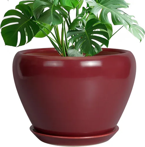 Miniatura 22 de Maceta de Cerámica Moderna con Esmalte para Suculentas con Agujero de Drenaje y Platillo, Maceta Redonda de 6 Pulgadas para Plantas de Flores