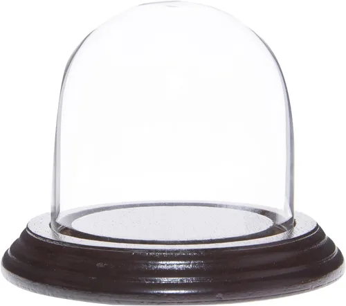 Plymor Cúpula de exhibición de cristal de 3 "x 3" (base de chapa de caoba oscura)