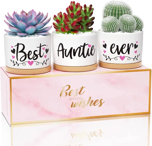 MAYICIVO Regalos de Navidad para tía de parte de sobrina o sobrino, los mejores regalos para tía, los mejores regalos para la mejor tía del mundo,