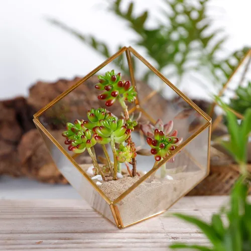 Miniatura 8 de ELEGANTLIFE Terrario de Plantas Geométrico de Cristal, Macetas para Suculentas y Plantas de Aire para Decoración de Hogar, Jardín, Oficina