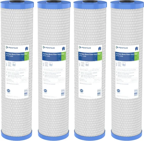 Pentair Pentek EPM-20BB - Filtro de agua de carbono azul grande, cartucho de filtro de bloque de carbono Epsilon modificado para toda la casa con