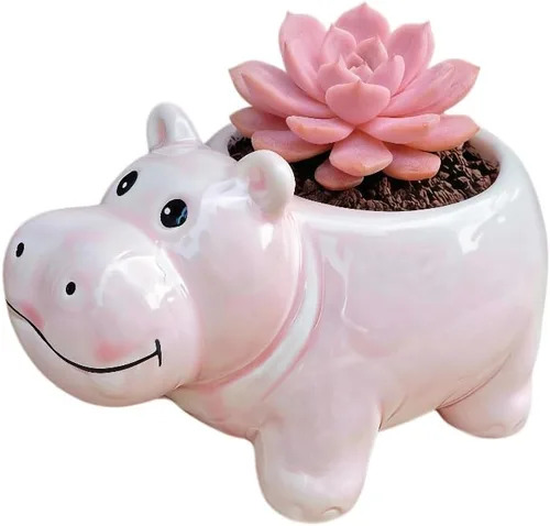 Miniatura 8 de Cuteforyou Macetas para suculentas, bonitas macetas de cerámica con forma de animal, diseño de cactus suculentas, planta no incluida (Corgi)