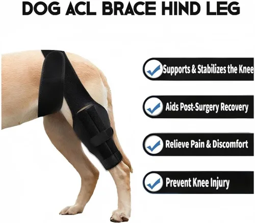 Miniatura 3 de Rodillera de perro para pierna trasera desgarrada del ligamento cruzado anterior, soporte cómodo y ajustable con dos estabilizadores, soporte