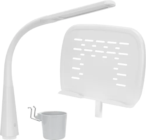 Mount-It! Kit de accesorios para escritorio de niños de altura ajustable | Incluye lámpara LED, estante para libros y portalápices, color gris