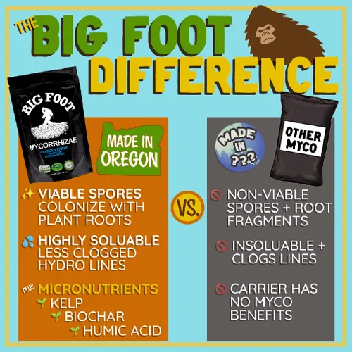 Miniatura 4 de Big Foot Mycorrhizae para Plantas, Plantas en Maceta y Jardines - Concentrado que se Disuelve Completamente en Agua, Fertilizante Orgánico Todo