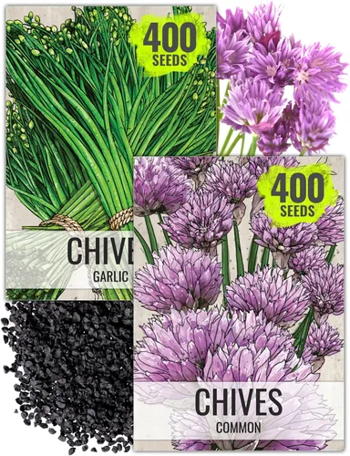 Miniatura 13 de Seed Needs Semillas de manzanilla para plantar manzanilla alemana y romana, semillas de hierbas sin OMG y sin tratar para plantar un jardín