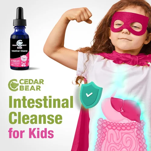 Miniatura 7 de Limpieza intestinal de oso de cedro para niños, un suplemento de hierbas líquido que modera el medio ambiente del sistema digestivo, lo que permite