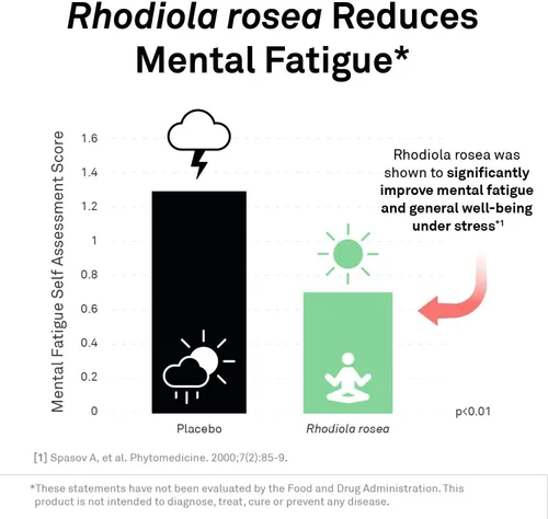 Miniatura 6 de NeuroScience AdreCor - Complejo de apoyo de energía suprarrenal con rodiola e histidina para ayudar a reducir la fatiga y el estrés (90 cápsulas)