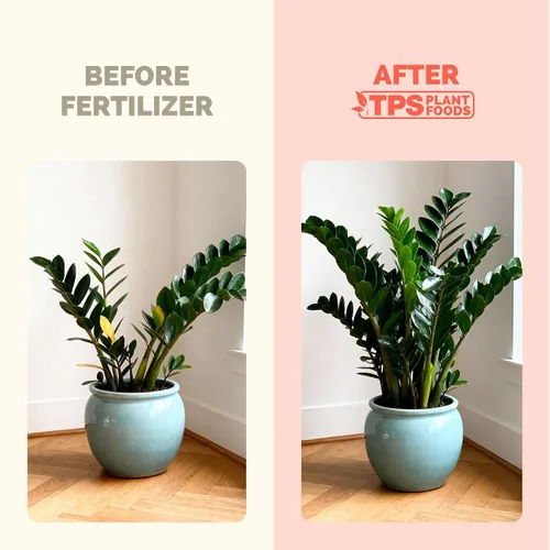 Miniatura 3 de ZZ Fertilizante para plantas – Alimento líquido para plantas para hojas verdes brillantes, raíces más fuertes y un nuevo crecimiento saludable, 8