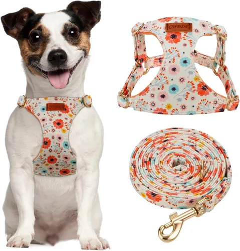 CHEDE Arnés para Perro sin Tirones con Patrón Floral - Arnés para Perro Ligero y Suave, Arnés Ajustable para Perros Pequeños y Juego de Correa, con
