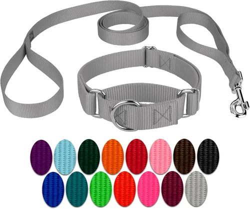 Miniatura 26 de Country Brook Petz - Collar para perro de nailon resistente Martingala azul hielo y correa de doble asa (1 pulgada, grande)