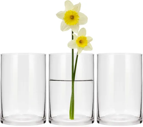 Juego de 3 jarrones cilíndricos de vidrio para centros de mesa, florero transparente de 6 pulgadas de alto para decoración del hogar, portavelas,