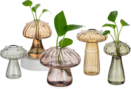 Hewory Estaciones de Propagación de Hongos de Vidrio: Conjunto de 5 Frascos de Propagación Únicos Plantador de Vidrio para Plantas de Interior