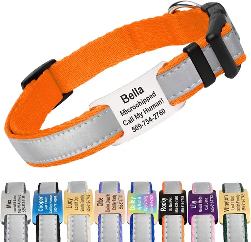 Collar GoTags reflectante personalizado para perro con placa de identificación, collar ajustable para perro con etiqueta de identificación de acero