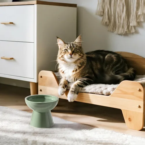 Miniatura 3 de CEEFU Cuenco de agua elevado extra ancho de cerámica para gatos, plato más profundo de 6.2 pulgadas para aliviar la fatiga de los bigotes, 5 Verde