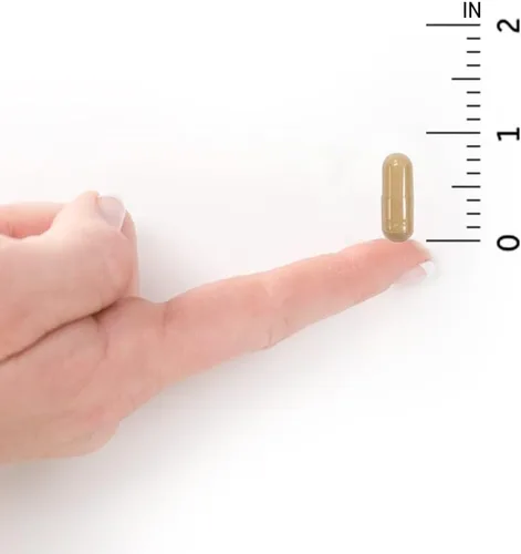 Miniatura 7 de Garden of Life Probióticos para mujeres y hombres – Probióticos crudos para el cuidado del colon 50 mil millones de UFC y enzimas, estable una vez
