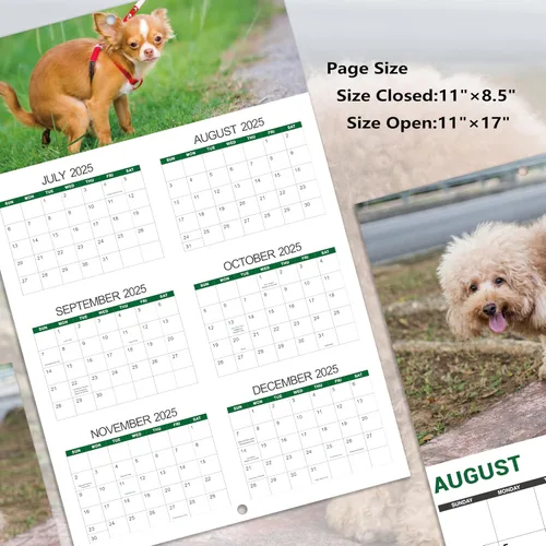 Miniatura 5 de Gag Gifts - Calendario 2021, calendario de pared, perros haciendo popo, para regalos de broma, enero a diciembre del 2021, 28 x 43.18 cm