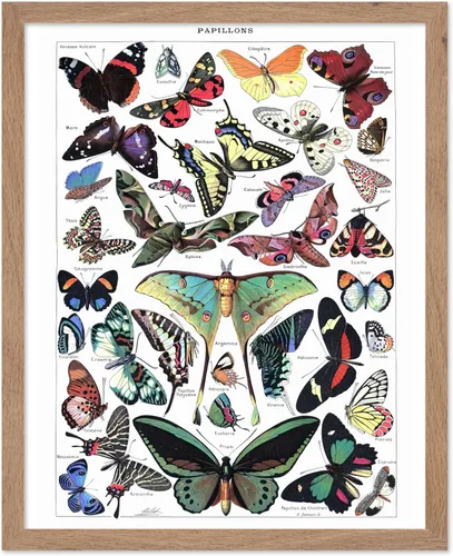 Miniatura 58 de Poster Master Póster vintage de miel, impresión retro de La Vie De L'Abeille, arte de panal de abeja, arte de pared de abeja, regalo para hombres