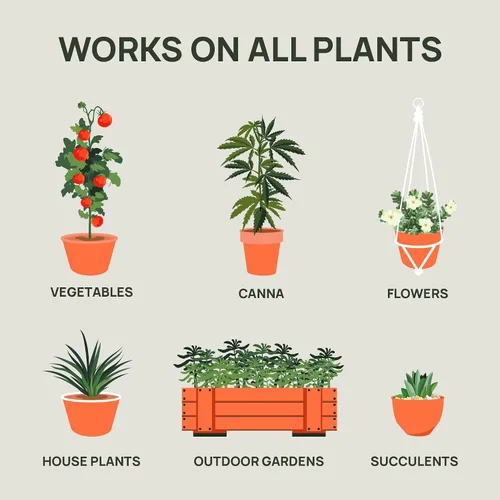 Miniatura 5 de Kit Combo Inicial de Fertilizante Strive - Nutrientes Hidropónicos Generales para Vegetales + Floración - Alimento para Plantas de Cultivo