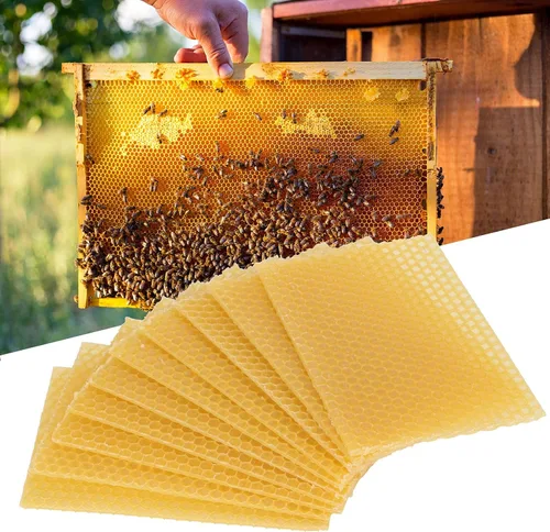 Miniatura 4 de 10 hojas de cera de abeja natural, hojas de cera de abeja, base de cera, colmenas de abeja, hojas de cera de abejas para hacer velas, muebles
