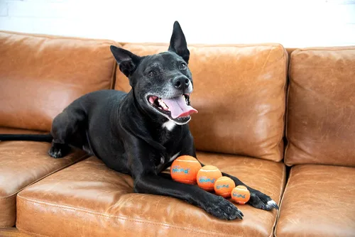 Miniatura 2 de Outward Hound Tennis Maze Craze - Juguete interactivo chillador para perros, azul
