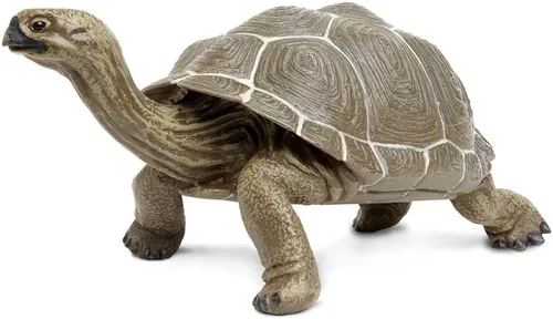 Safari Ltd. Figura de tortuga – Figura detallada de plástico de 8.5 pulgadas – Divertido juguete educativo para niños, niñas y niños a partir de 18