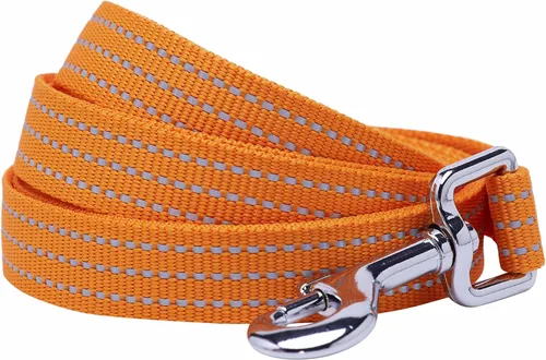 Blueberry Pet Essentials Reflective Better Basics - Correa para perro, color albaricoque, 5 pies x 5/8 pulgadas, pequeña, correas para perros