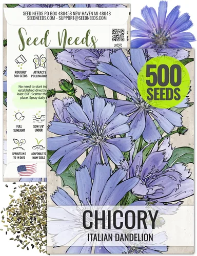 Seed Needs Semillas de achicoria para plantar Cichorium intybus, reliquia y flores silvestres polinizadas abiertas para cultivar un jardín de