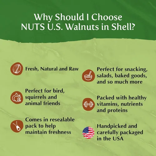 Miniatura 6 de NUTS U.S. Nueces con cáscara, cultivadas y empaquetadas en California, variedad Chandler, sabor a mantequilla fresco y fácil de agrietar, nueces