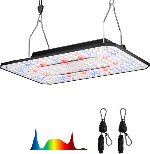 UAP800 - Luz LED de crecimiento de 80 W, lente de nueva generación de espectro completo regulable con cadena de margaritas para cultivo de plantas