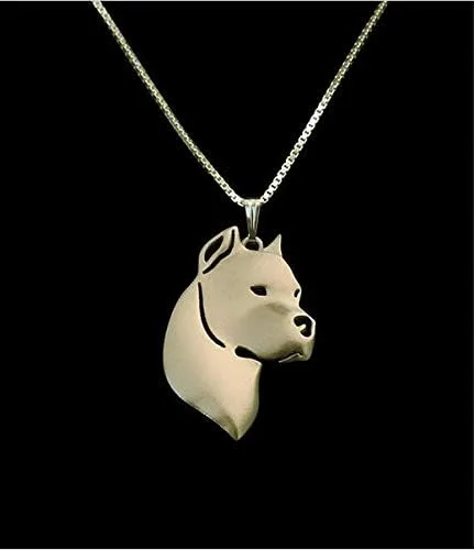 Miniatura 2 de Davitu - Collar de perro argentino