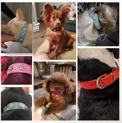 Miniatura 2 de Collar de perro con flores de diamantes de imitación, collar de piel sintética brillante para perros y gatos pequeños, bonito collar de cachorro