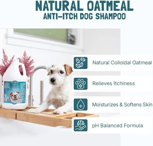 Miniatura 4 de Bio-Groom Champú de avena para perros, para alergias y picazón, sin crueldad, suministros de baño para perros, champú para cachorros para pieles