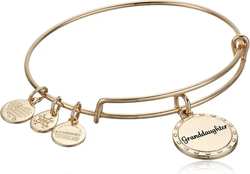 Alex and Ani Because I Love You Granddaughter - Pulsera de alambre expandible para mujer, por tu lado encanto, acabado dorado antiguo brillante, 2 a