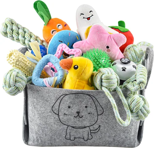 LECHONG Paquete de 24 juguetes masticables para cachorros, juguetes de dentición para perros con contenedor de almacenamiento, juguetes de cuerda