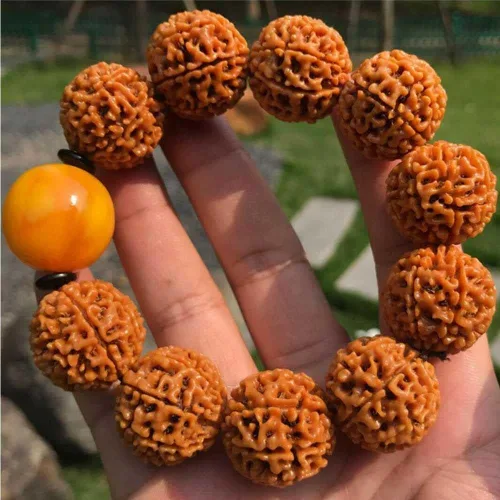 Miniatura 3 de Pulsera de la suerte con cuentas de turquesa Rudraksha natural de 0.984in #18365