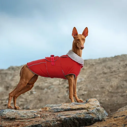 Miniatura 8 de Lelepet Abrigo cálido para perros – Chaleco reflectante impermeable de vellón con hebilla ajustable de gancho y bucle, chaqueta de invierno Rojo