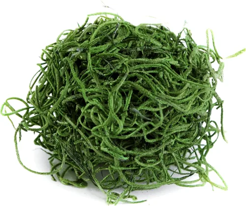 Miniatura 3 de SuperMoss (26903) Musgo español preservado – Musgo decorativo para manualidades, plantas en maceta, jardines de hadas, relleno de jarrón, arreglos