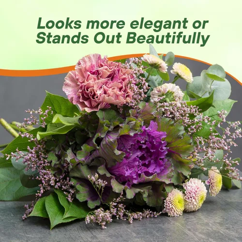 Miniatura 6 de Outsidepride Semillas de flores ornamentales de col – 1000 unidades. Semillas anuales, tolerantes al frío y de bajo mantenimiento, semillas