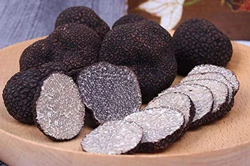 Miniatura 2 de Trufas negras secas en rodajas de 1 oz, grado premium