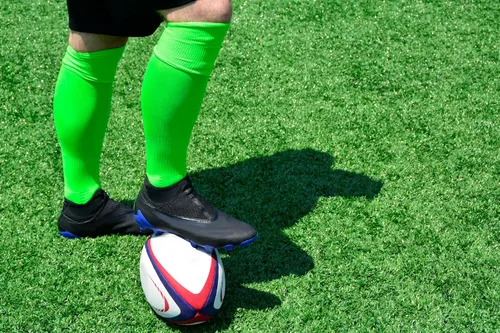 Miniatura 25 de PEAR SOX Calcetines altos Euro Solid hasta la rodilla, calcetines atléticos que absorben la humedad con soporte de arco y tobillo