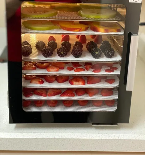 Miniatura 7 de Paquete de 6 hojas deshidratadoras de silicona, alfombrillas deshidratadoras antiadherentes para secadora de frutas, forro de bandeja reutilizable