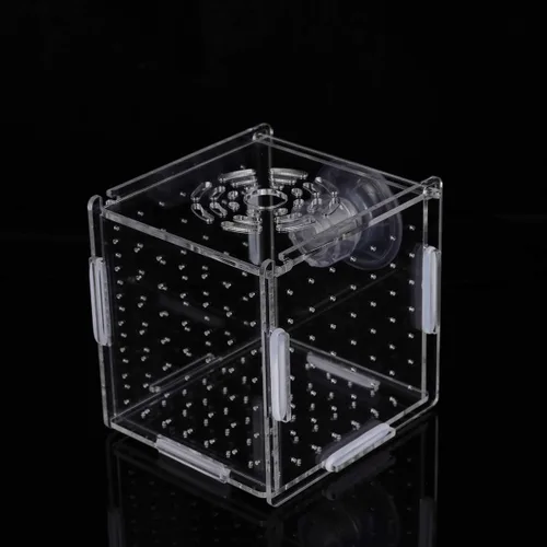 Miniatura 4 de Caja de cría de peces, caja de incubadora de incubadora, cajas de cría de peces de acuario, cajas divisorias para eclosionar, accesorio