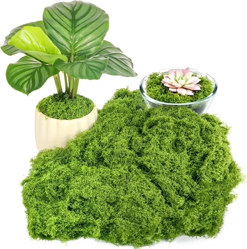 Draupnir Musgo Verde Falso para Plantas de Interior, 5.3OZ Musgo Falso para Manualidades Conservado para DIY, Decoración de Centros de Mesa, Verde