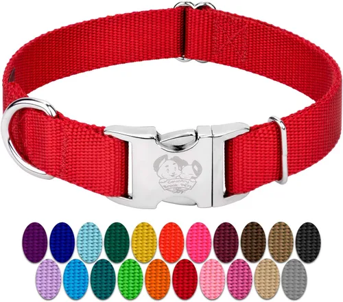 Miniatura 17 de Country Brook Petz – Collar de nailon premium para perro con hebilla de metal para razas pequeñas, medianas y grandes - Más de 10 colores cálidos