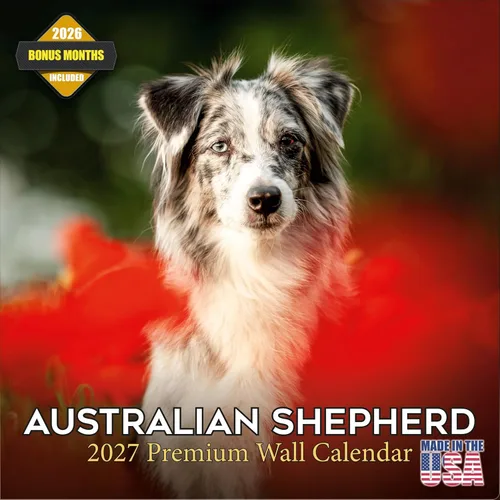 Miniatura 57 de Calendario 2025 2026 de cachorros Cocker Spaniel - Calendario mensual de pared de raza de perro - 12" x 24" abierto - Papel grueso sin sangrado