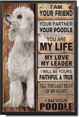 Miniatura 18 de Letrero de Metal Letrero de Hojalata Arte de Pared Vintage I Am Your Friend Regalo para Amantes de Schnauzer Arte de Pared Vintage Impresiones