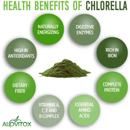 Miniatura 6 de Alovitox Chlorella orgánica en polvo de 8 onzas Superalimento denso en nutrientes con antioxidantes, proteínas, vitaminas C, E, complejo B